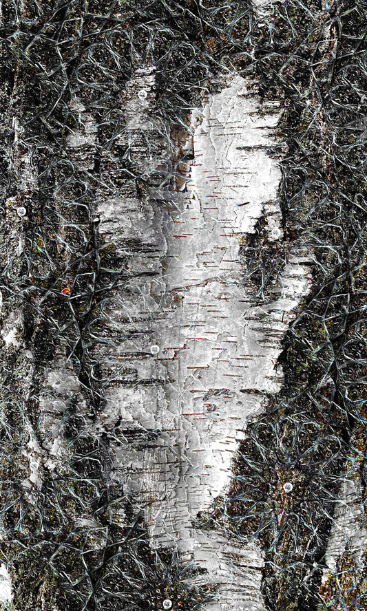 White Bark