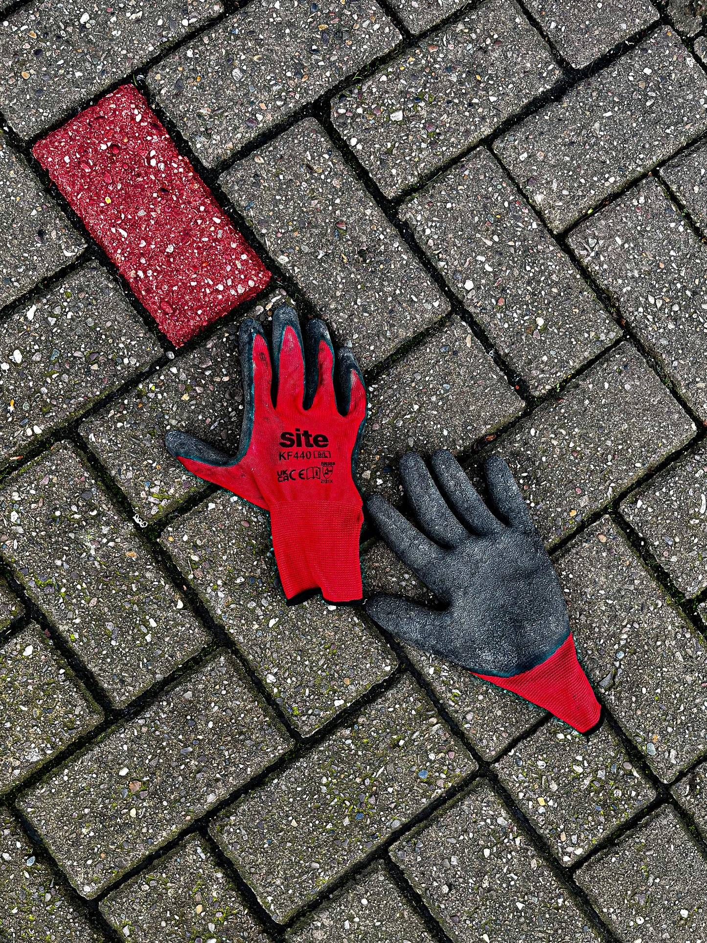 The Red Glove